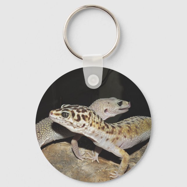 Porte-clés Design de gecko Leopard pour tous les amateurs de  (Recto)