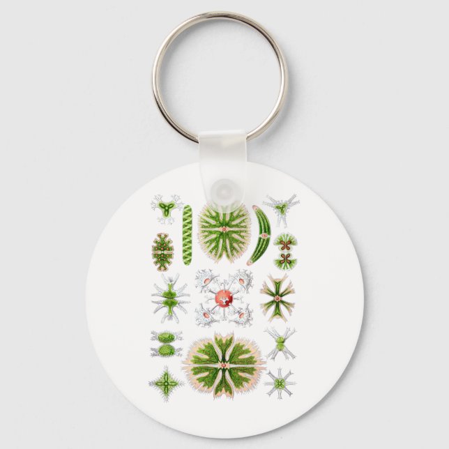 Porte-clés Desmides (Recto)