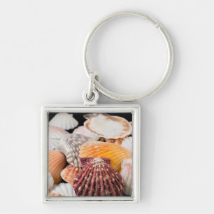 Porte-clés Détail Des Coquillages Du Monde Entier 2