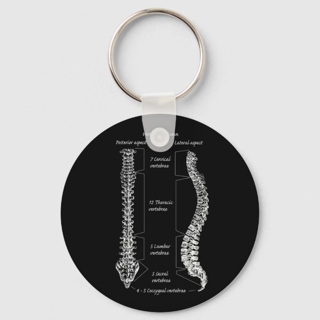 Porte-clés Détails de la colonne vertébrale (Recto)