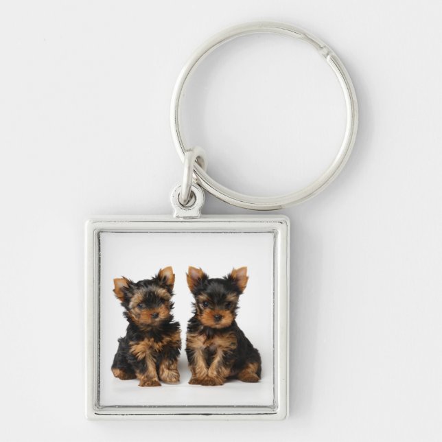 Porte-clés Deux chiots (Devant)