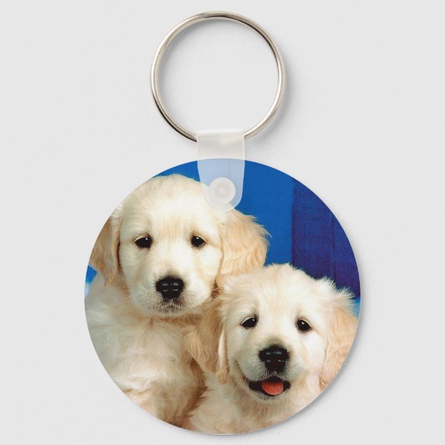 Porte-clés Deux petits labrador (Recto)