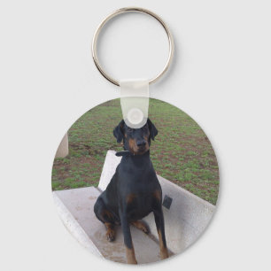 Porte-clés doberman pinting