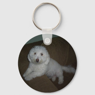 Porte-clés Dogluv
