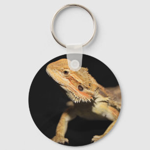 Porte-clés Dragon barbu curieux 3
