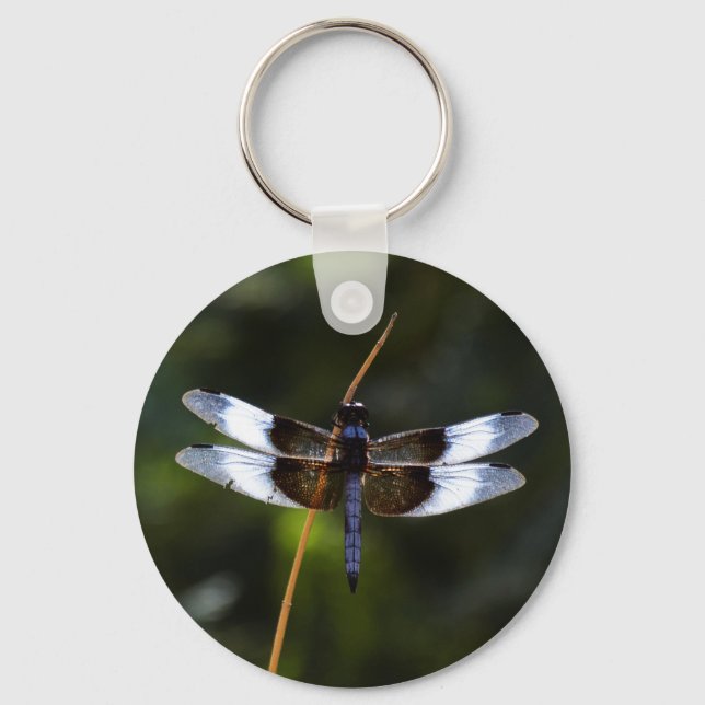 Porte-clés Dragonfly de la veuve masculine (Recto)