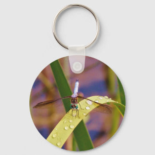 Porte-clés Dragonfly sur la feuille de pluie