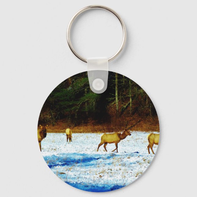 PORTE-CLÉS DSC00131.JPG (Recto)