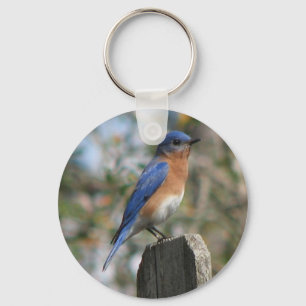 Porte-clés Eastern Bluebird Male Keychain