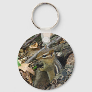 Porte-clés Eastern Chipmunk - Tamias striatus
