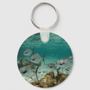 Porte-clés École de poissons permis