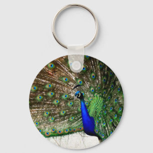 Porte-clés Écran Peacock Homme