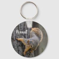 Écureuil renard personnalisé sur un arbre