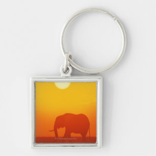 Porte-clés Éléphant africain marchant au coucher du soleil,