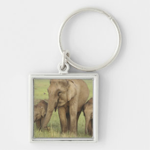 Porte-clés Eléphant et jeunes indiens d'Asie