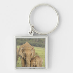 Porte-clés Éléphant indien / asiatique et jeune, Corbett