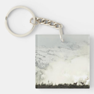 Porte-clés Elk at Grand Teton National Park Photographie