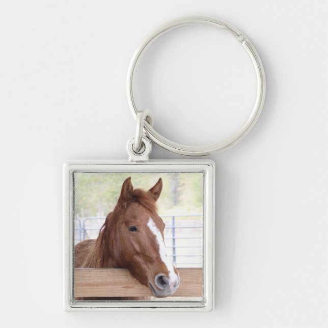 Porte-clés Ember - Porte - clé (Devant)