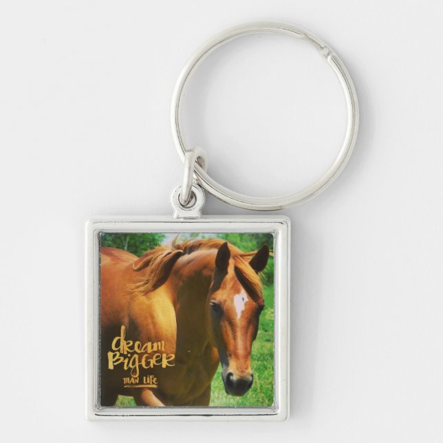 Porte-clés Encouragement du cheval de rêve (Devant)