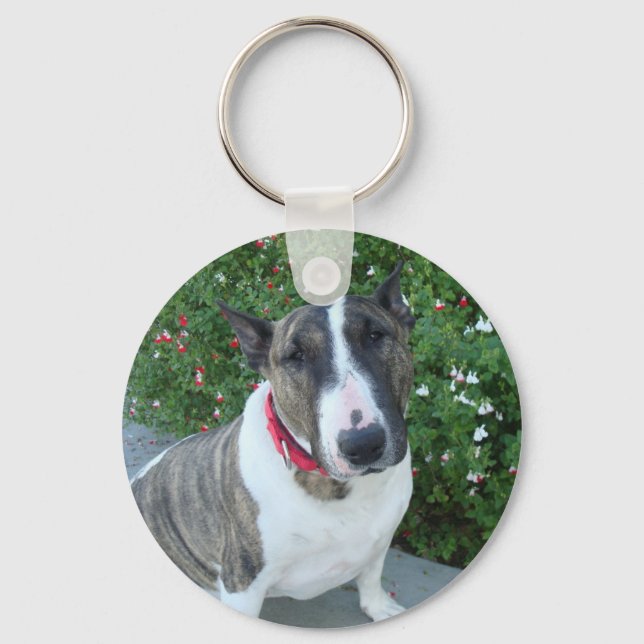 Porte-clés English Bull Terrier (Recto)