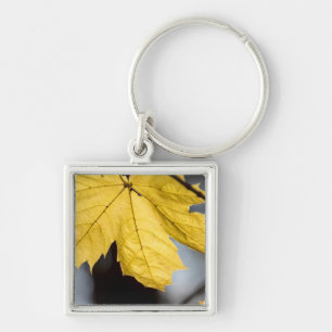 Porte-clés Érable à sucre, automne
