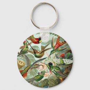 Porte-clés Ernst Haeckel Hummingbirds - Les formes artistique