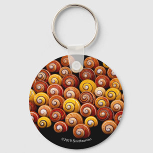 Porte-clés Escargots d'arbre cubain