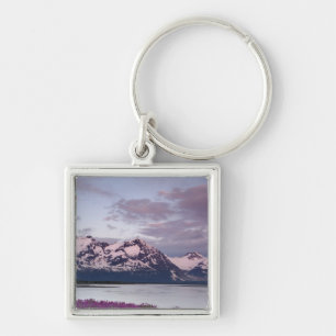 Porte-clés États-Unis, Alaska, Alsek River Valley. Vue d'Als
