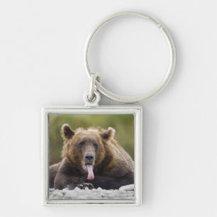 Porte-clés États-Unis, Alaska, Parc national de Katmai, baie 