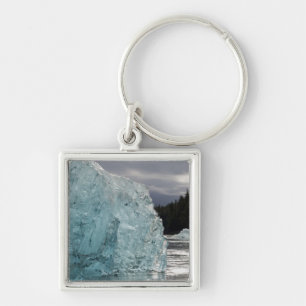 Porte-clés États-Unis, Alaska, Tongass National Forest, Trac