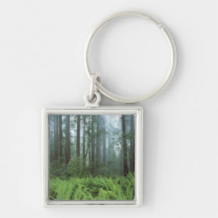 Porte-clés États-Unis, Californie, Parc national de Redwood. 