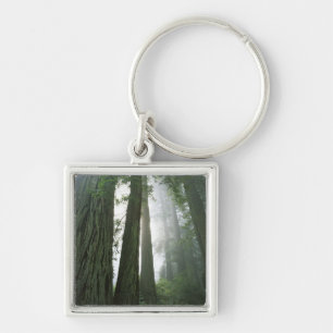 Porte-clés États-Unis, Californie, Parc national de Redwood,