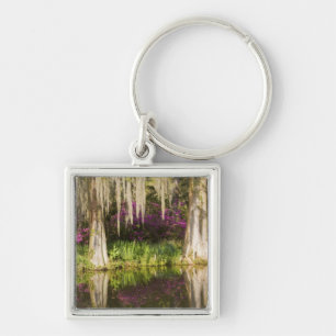 Porte-clés États-Unis, Caroline du Sud, Charleston. Cyprès