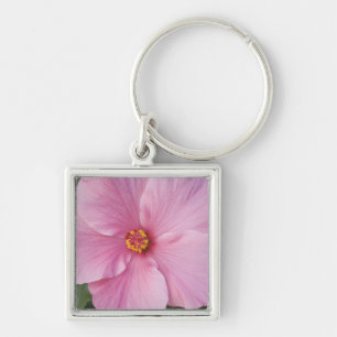 Porte-clés États-Unis, Floride, Sanibel, Hibiscus Rose de
