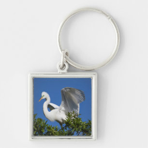Porte-clés États-Unis, Floride, St. Augustine, Aigrette