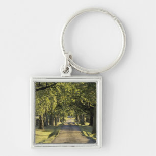Porte-clés États-Unis, Kentucky, Lexington. Allée bordée d'ar