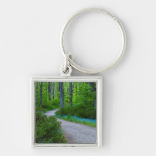 Porte-clés États-Unis, Michigan. Chemin à travers les bois
