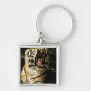 Porte-clés États-Unis, Michigan, Détroit. Zoo de Détroit, tig