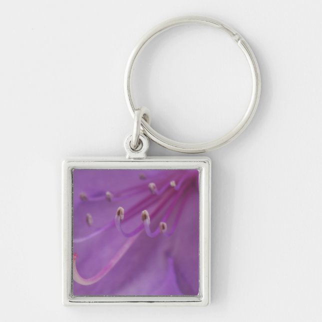 Porte-clés États-Unis, Oregon, Portland. Clôture d'un (Devant)