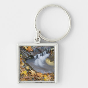Porte-clés États-Unis, Oregon, Sweet Creek. Feuilles d'érable