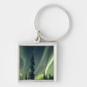 Porte-clés États-Unis, région de Fairbanks, centre de l'Alask