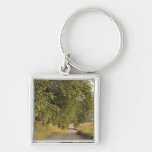 Porte-clés États-Unis, Tennessee, Great Smoky Mountains Natio