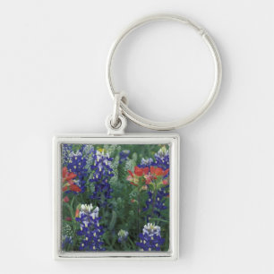 Porte-clés États-Unis, Texas Hill Country. Bluebonnets et