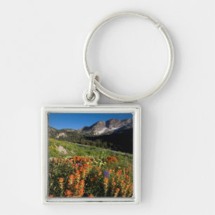 Porte-clés États-Unis, Utah, Forêt nationale d'Uinta-Wasatch-
