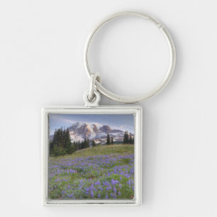 Porte-clés États-Unis, Washington, Mt. Rainier NP, Mt. Rainie