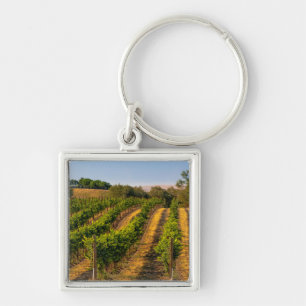 Porte-clés États-Unis, Washington oriental, vignobles Walla W