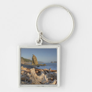 Porte-clés États-Unis, Washington, Parc National Olympique, R