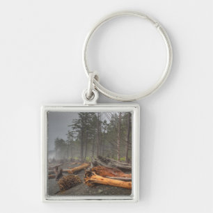 Porte-clés États-Unis, Washington, Parc National Olympique, R