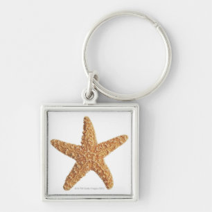 Porte-clés Étoiles de mer d'isolement sur le blanc
