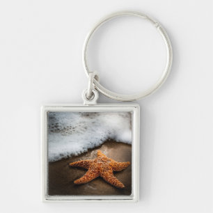 Porte-clés Étoiles de mer seules sur la plage